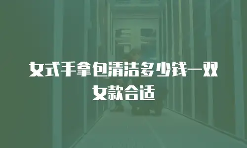 女式手拿包清洁多少钱一双女款合适