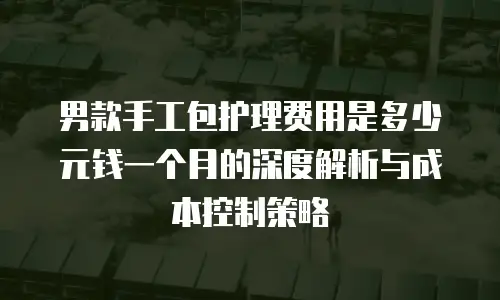 男款手工包护理费用是多少元钱一个月的深度解析与成本控制策略