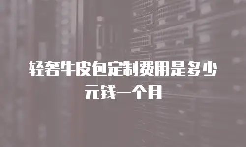 轻奢牛皮包定制费用是多少元钱一个月