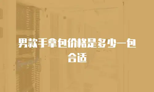 男款手拿包价格是多少一包合适