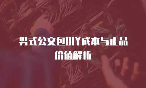 男式公文包DIY成本与正品价值解析