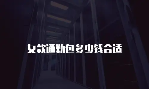 女款通勤包多少钱合适