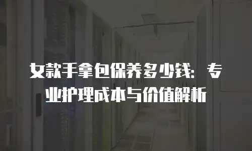 女款手拿包保养多少钱：专业护理成本与价值解析