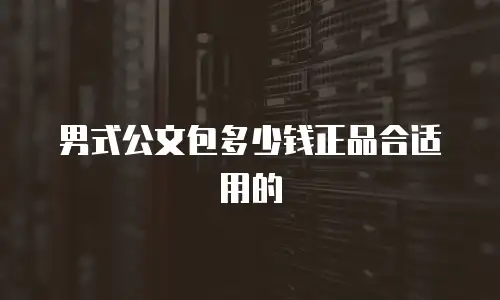 男式公文包多少钱正品合适用的
