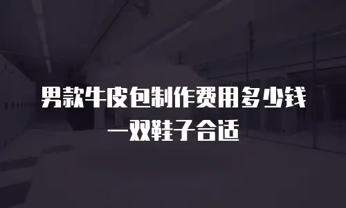 男款牛皮包制作费用多少钱一双鞋子合适