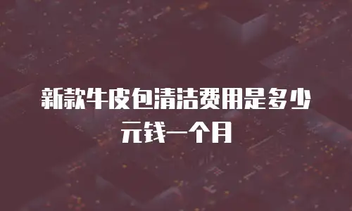 新款牛皮包清洁费用是多少元钱一个月