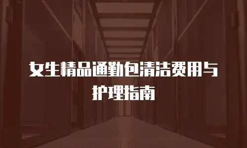 女生精品通勤包清洁费用与护理指南