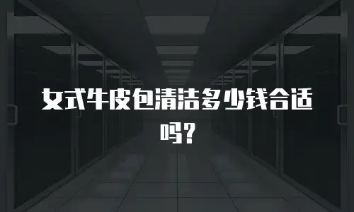 女式牛皮包清洁多少钱合适吗？