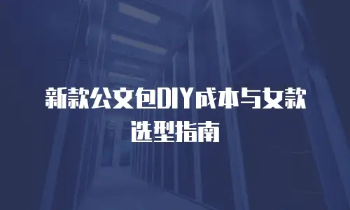 新款公文包DIY成本与女款选型指南