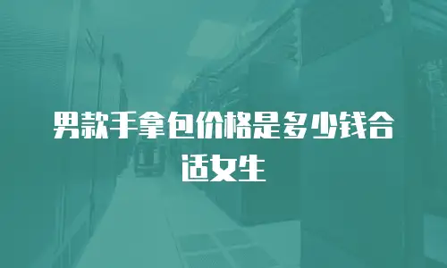 男款手拿包价格是多少钱合适女生