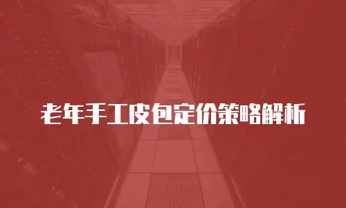 老年手工皮包定价策略解析