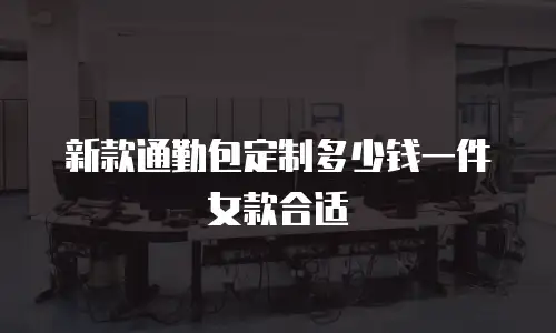 新款通勤包定制多少钱一件女款合适