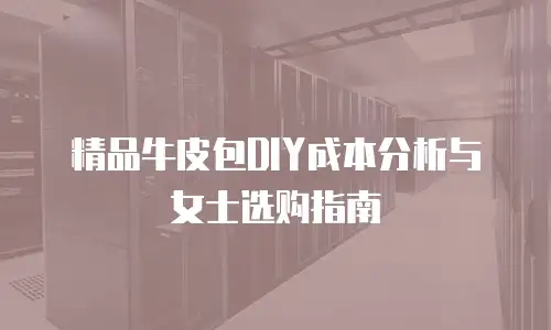 精品牛皮包DIY成本分析与女士选购指南