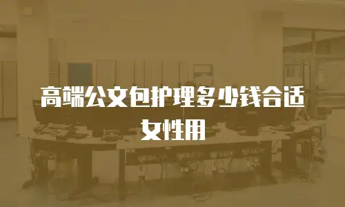 高端公文包护理多少钱合适女性用
