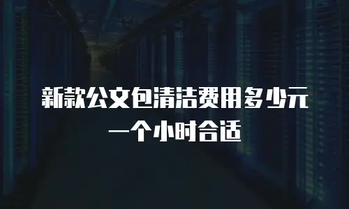 新款公文包清洁费用多少元一个小时合适
