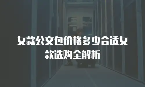女款公文包价格多少合适女款选购全解析