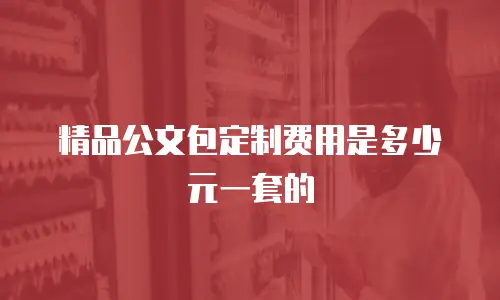 精品公文包定制费用是多少元一套的