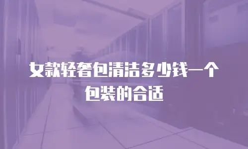 女款轻奢包清洁多少钱一个包装的合适
