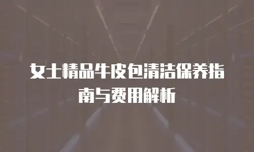 女士精品牛皮包清洁保养指南与费用解析