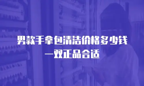 男款手拿包清洁价格多少钱一双正品合适