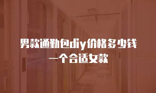 男款通勤包diy价格多少钱一个合适女款