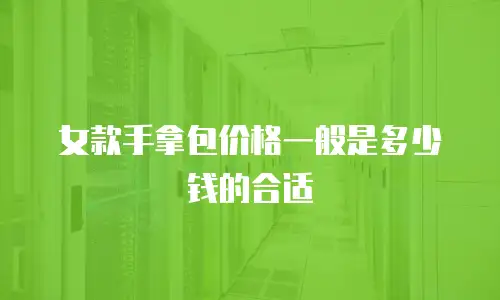 女款手拿包价格一般是多少钱的合适