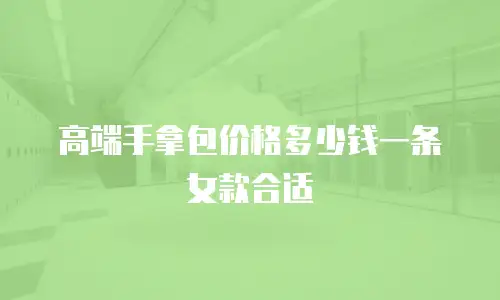 高端手拿包价格多少钱一条女款合适