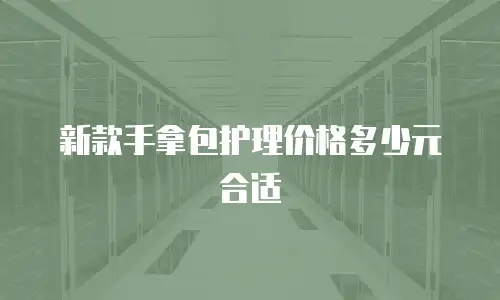 新款手拿包护理价格多少元合适