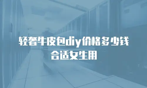 轻奢牛皮包diy价格多少钱合适女生用