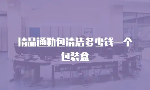 精品通勤包清洁多少钱一个包装盒