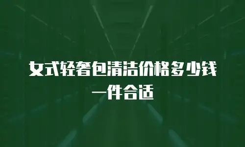 女式轻奢包清洁价格多少钱一件合适