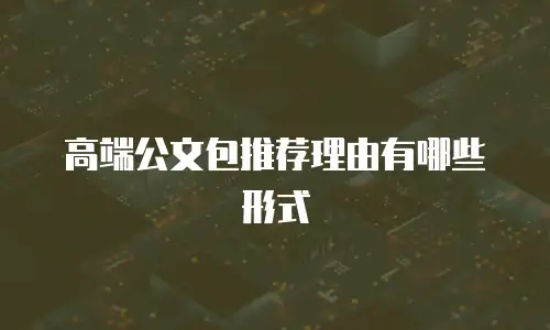 高端公文包推荐理由有哪些形式
