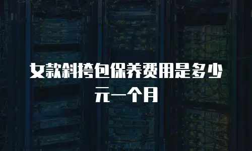 女款斜挎包保养费用是多少元一个月