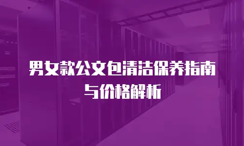 男女款公文包清洁保养指南与价格解析