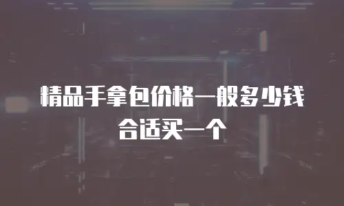 精品手拿包价格一般多少钱合适买一个