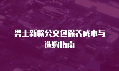 男士新款公文包保养成本与选购指南
