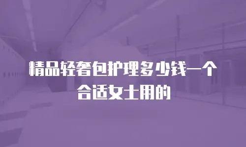精品轻奢包护理多少钱一个合适女士用的