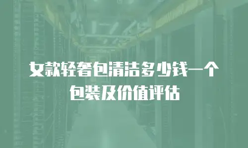 女款轻奢包清洁多少钱一个包装及价值评估