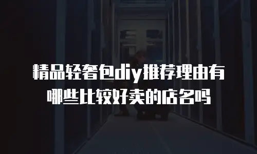 精品轻奢包diy推荐理由有哪些比较好卖的店名吗