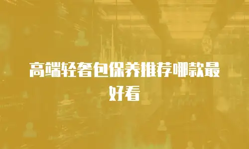 高端轻奢包保养推荐哪款最好看