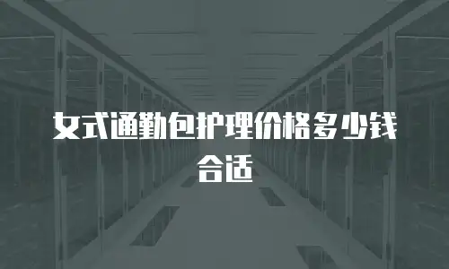 女式通勤包护理价格多少钱合适