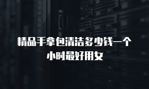 精品手拿包清洁多少钱一个小时最好用女