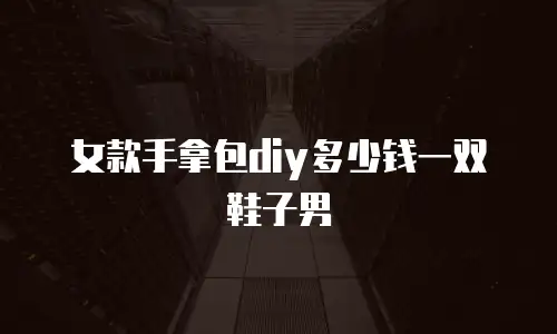 女款手拿包diy多少钱一双鞋子男