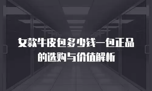 女款牛皮包多少钱一包正品的选购与价值解析