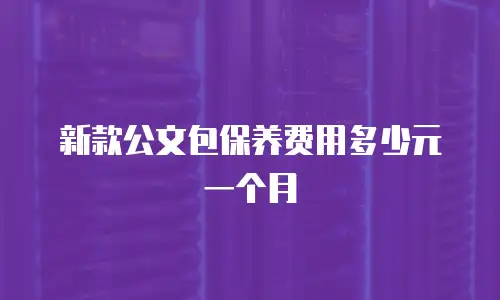 新款公文包保养费用多少元一个月