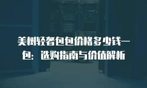 美树轻奢包包价格多少钱一包：选购指南与价值解析
