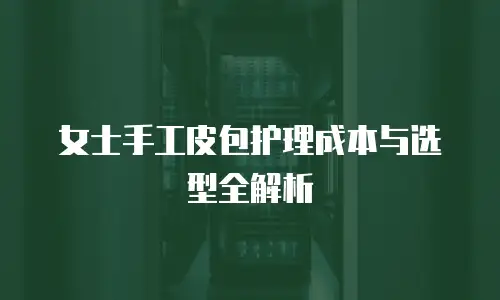 女士手工皮包护理成本与选型全解析