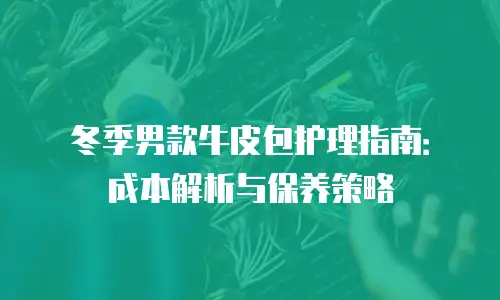 冬季男款牛皮包护理指南：成本解析与保养策略