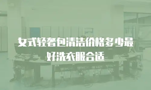 女式轻奢包清洁价格多少最好洗衣服合适