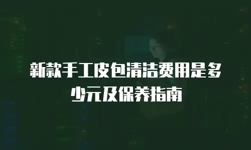 新款手工皮包清洁费用是多少元及保养指南